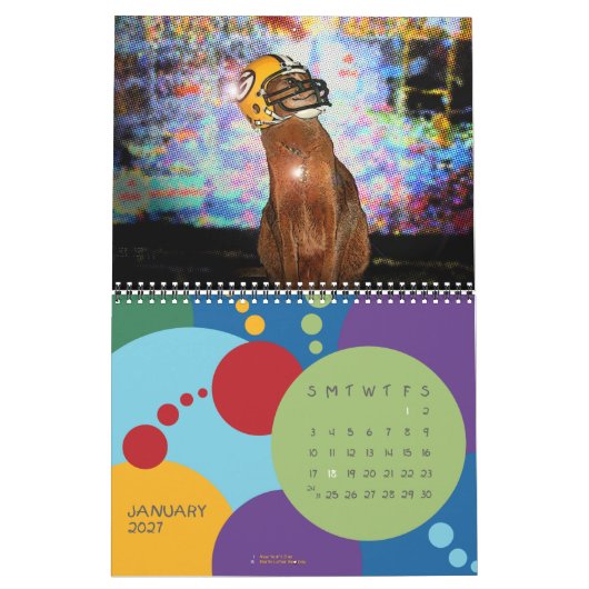 De dagelijkse Abyssiniaanse kalender 2013 (Jan 2027)