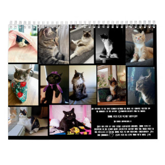 De dagelijkse mews, Cat Charity Kalender 2025