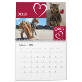 De dagelijkse mews, Cat Charity Kalender 2025 (Feb 2026)
