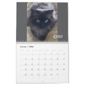 De dagelijkse mews, Cat Charity Kalender 2025 (Jan 2026)