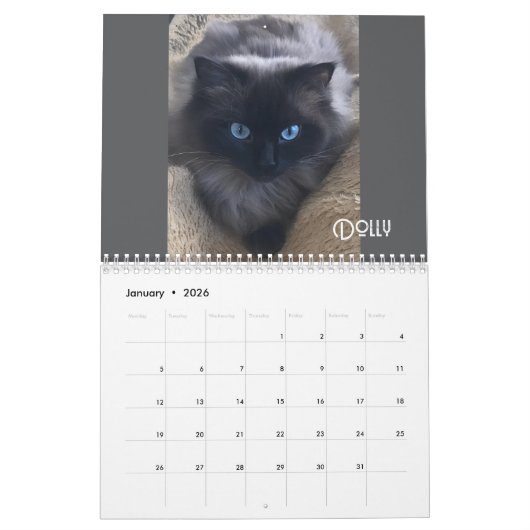De dagelijkse mews, Cat Charity Kalender 2025 (Jan 2026)