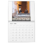De dagelijkse mews, Cat Charity Kalender 2025 (Mar 2026)