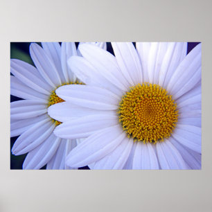 De dagen - 20x30 poster
