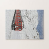 De Daily Jigzaag Puzzle/Subway Train Jigzaag Puzzl Legpuzzel (Horizontaal)