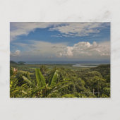 De Daintree in het tropisch regenwoud van Briefkaart (Voorkant)