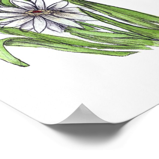 De Daisy Inspecteur Poster (Hoek)