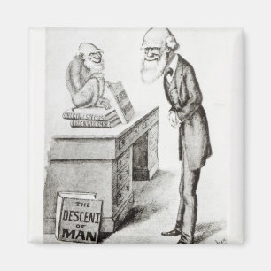 De daling van het Man Magneet