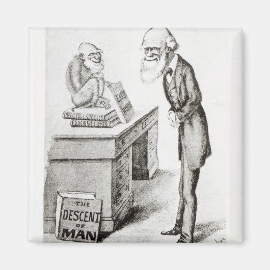 De daling van het Man Magneet (Voorkant)