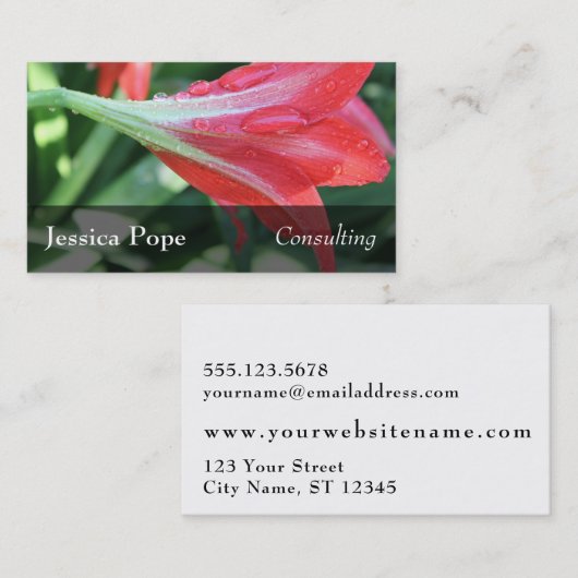 De Dalingen van het water op Rode Daylilies Foto, Visitekaartje (Voorkant / Achterkant)