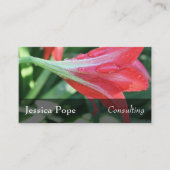 De Dalingen van het water op Rode Daylilies Foto, Visitekaartje (Voorkant)