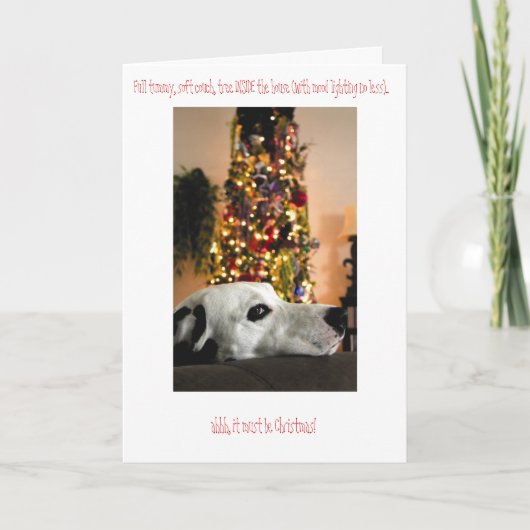 De Dalmatische Kerstkaart van de Hond Feestdagen Kaart (Voorkant)