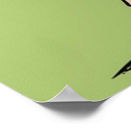 De Dalton Brothers Poster (Hoek)