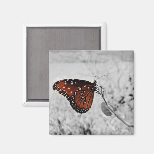 De dame aan het meer magneet (Voorkant / Achterkant)