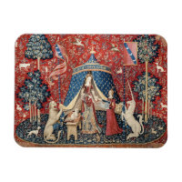 De Dame en de Unicorn, naar mijn enige wens