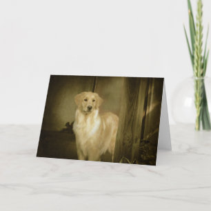 De Dame van het Wenskaart van het golden retriever Kaart