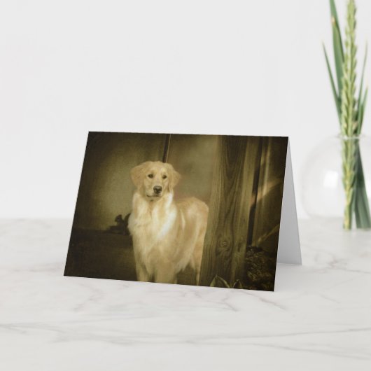 De Dame van het Wenskaart van het golden retriever Kaart (Voorkant)