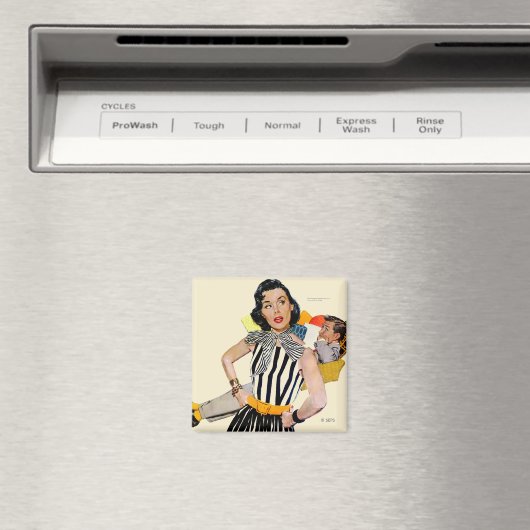 De dame werd beledigd 2 magneet (Insitu (Vaatwasser))