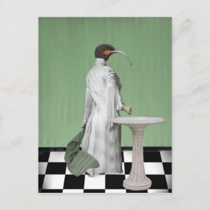 De Dame's Bath Briefkaart