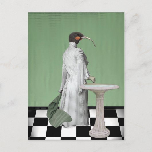 De Dame's Bath Briefkaart (Voorkant)