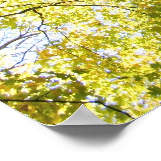 De dames dansen poster (Hoek)