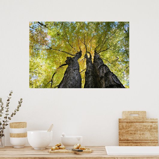 De dames dansen poster (Keuken)