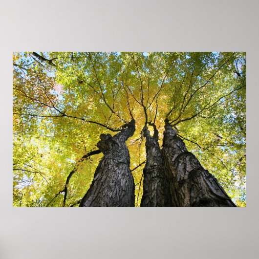 De dames dansen poster (Voorkant)