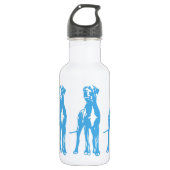 De Dane Waterfles (Voorkant)