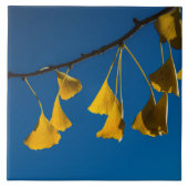 De dans in de Herfst Tegeltje (Voorkant)