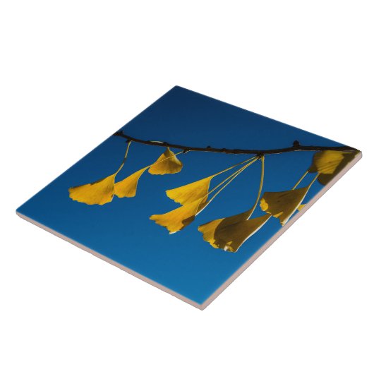 De dans in de Herfst Tegeltje (Zijkant)