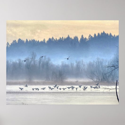 De dans van de eenden1 poster (Voorkant)