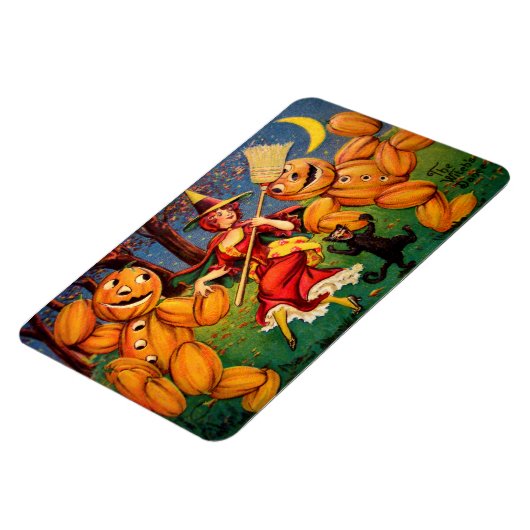 De dans van de heks magneet (Linkerzijde)