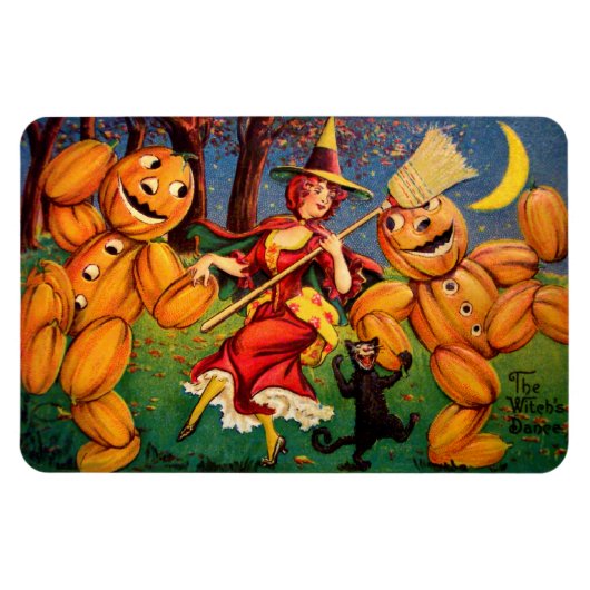 De dans van de heks magneet (Horizontaal)