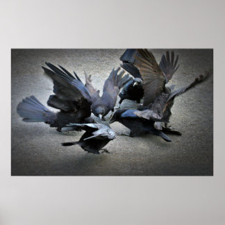 De Dans van de Krogen Poster