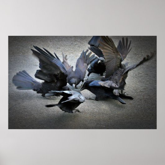 De Dans van de Krogen Poster (Voorkant)