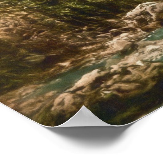 De Dargle-brug in Ierland Poster (Hoek)