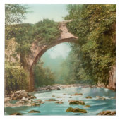 De Dargle-brug in Ierland Tegeltje (Voorkant)