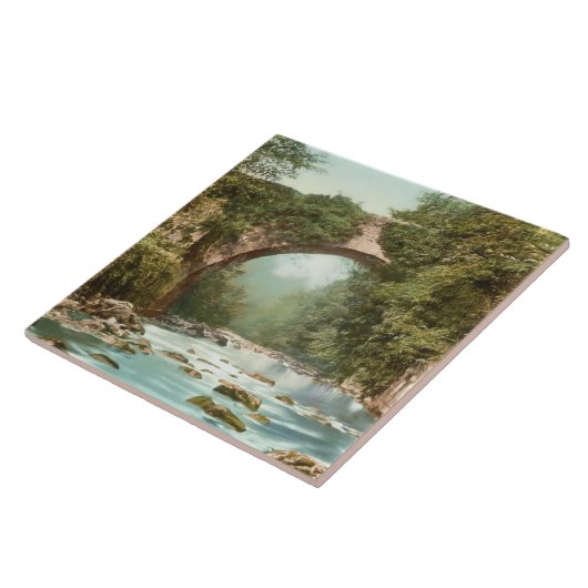 De Dargle-brug in Ierland Tegeltje (Zijkant)