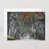 DE DARK HEDGES, BALLYMONEY, IERLAND BRIEFKAART (Voorkant / Achterkant)