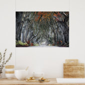 DE DARK HEDGES, BALLYMONEY, IERLAND POSTER (Keuken)