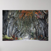 DE DARK HEDGES, BALLYMONEY, IERLAND POSTER (Voorkant)