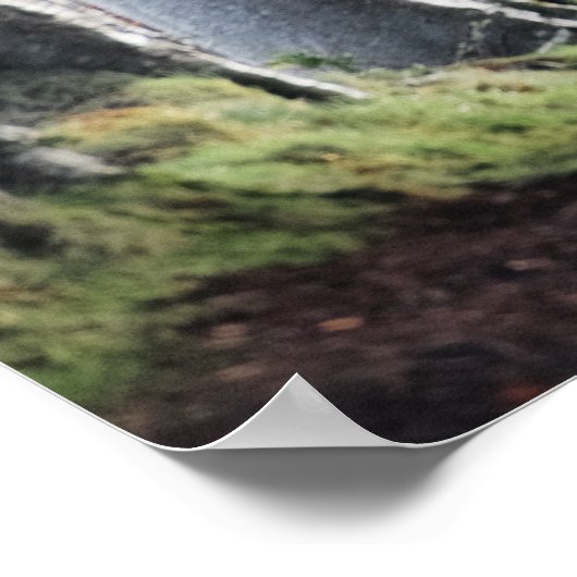 DE DARK HEDGES, BALLYMONEY, IERLAND POSTER (Hoek)