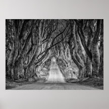 DE DARK HEDGES, CO. ANTRIM, NOORD-IERLAND