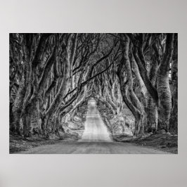 DE DARK HEDGES, CO. ANTRIM, NOORD-IERLAND POSTER