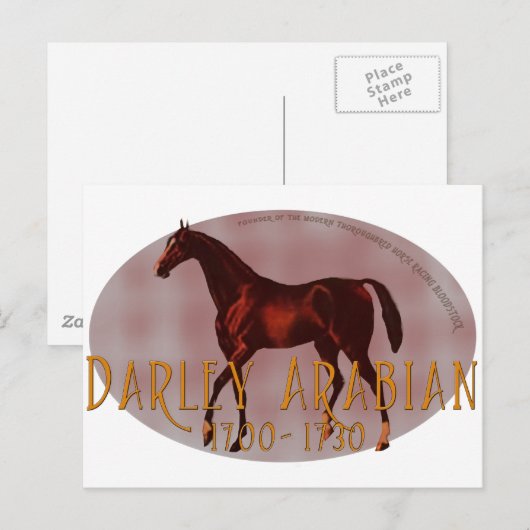 De Darley Arabian Briefkaart (Voorkant / Achterkant)