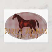 De Darley Arabian Briefkaart (Voorkant)