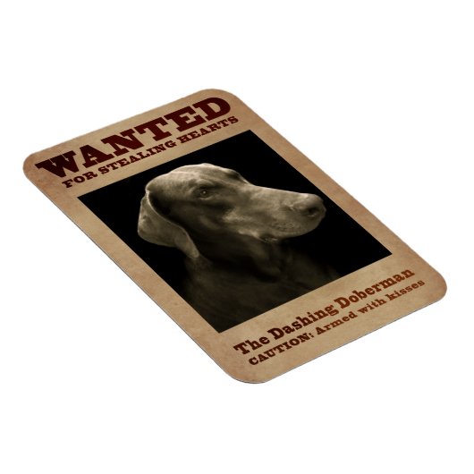 De Dashing Doberman Magnet Magneet (Rechterzijde)