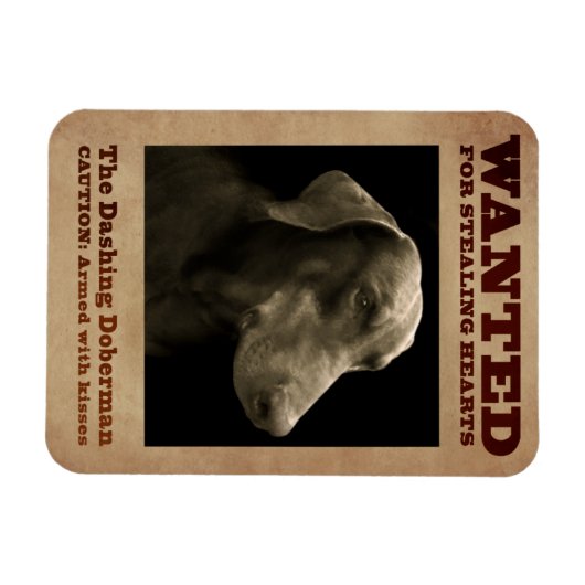 De Dashing Doberman Magnet Magneet (Horizontaal)