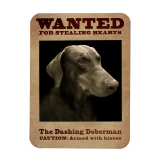 De Dashing Doberman Magnet Magneet