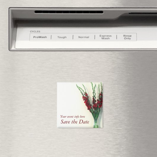 De datum opslaan magneet (Insitu (Vaatwasser))