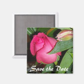 De datum opslaan magneet (Voorkant / Achterkant)